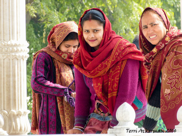 Ladies in Saris