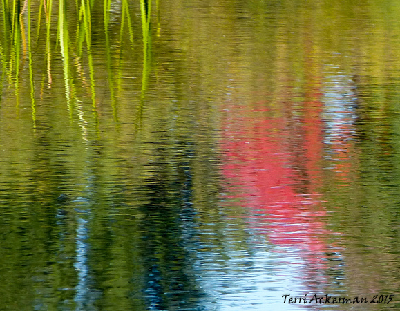 Crimson Reflections