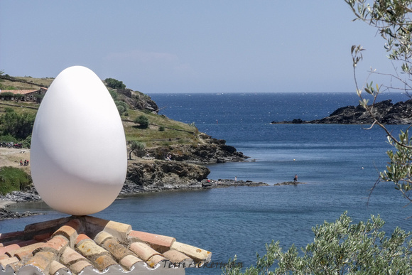 Dali Egg at the Ocean
