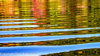 Stripes of Autumn Reflecctions