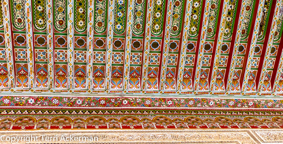 Ceiling of Exquisite Detail