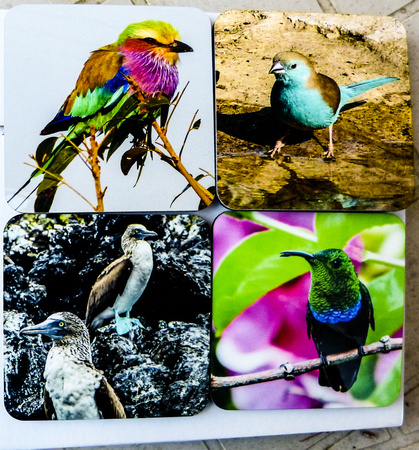 ...........Birds of the World............. 4-Coaster Set $29.95