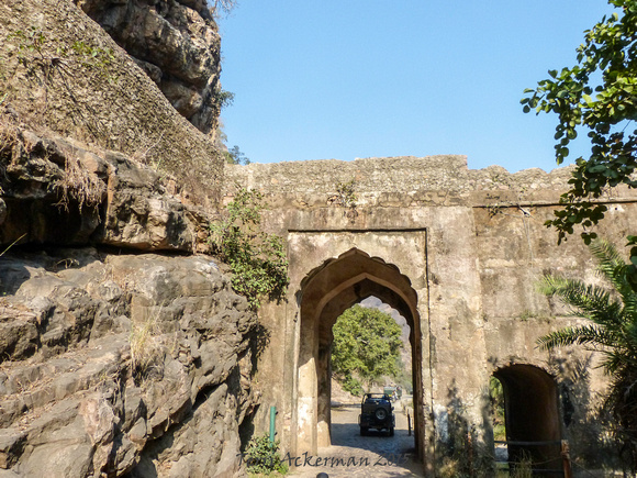 Ranthambore Gate