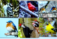 ...... Birds of New England ........ Any 4 Coasters $29.95
