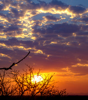 Majete Reserve Sunset